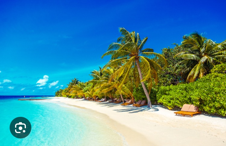 Neels - Diepenbeek - Limbourg | Rencontre Trans