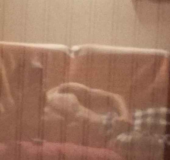 Envel - Malle - Anvers | Rencontre Trans