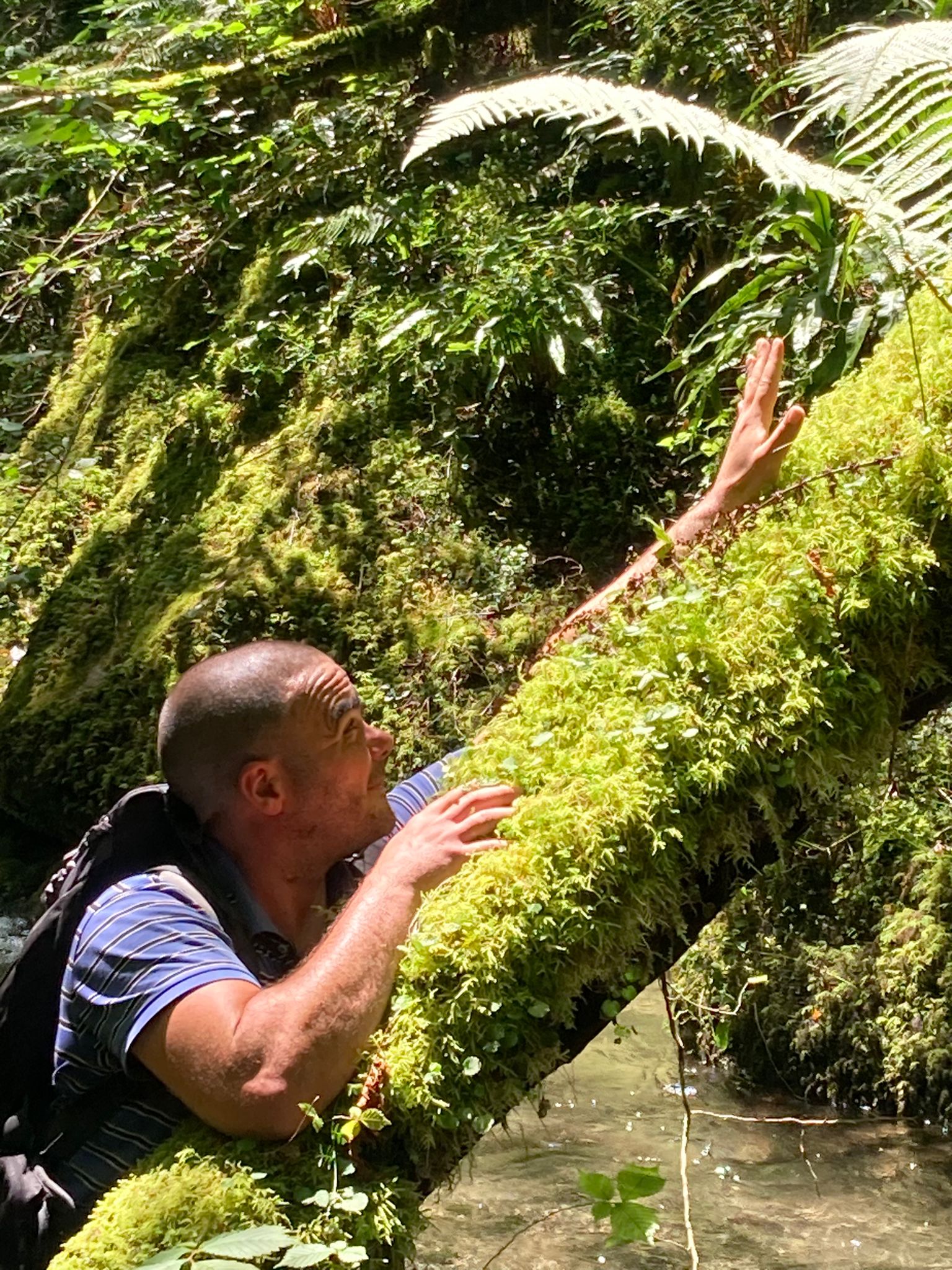 Théau - Lichtervelde - Flandre occidentale | Rencontre Trans