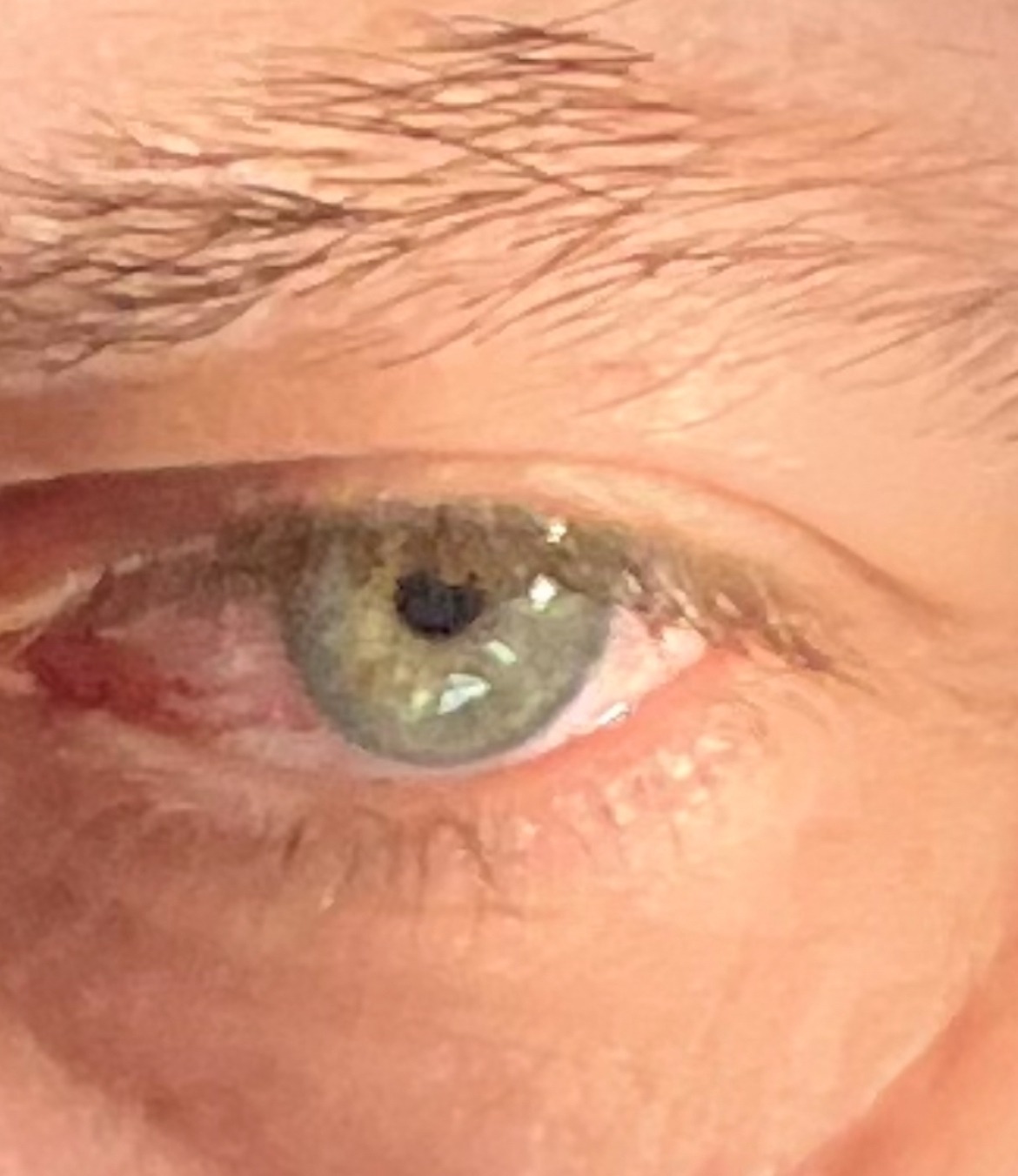 Noury - Léau - Brabant flamand | Rencontre Trans