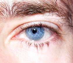 Fabiano - Froidchapelle - Hainaut | Rencontre Trans